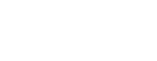 EV IO