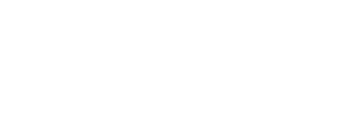 Cyber Pet