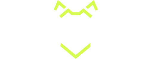 Metaisland