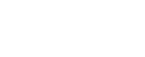 GOGO DINO Saltmarble