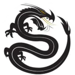 Black Dragon Capital