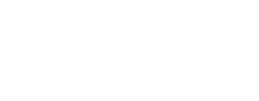 ROBOROBO