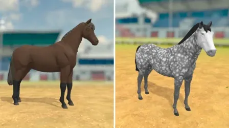Horse appearance in the game
